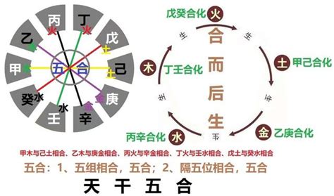 天干五合|天干五合